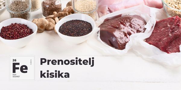 željezo prenositelj kisika